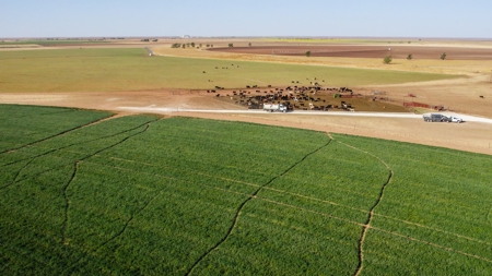 West Texas Multi-Parcel Auction - image 3