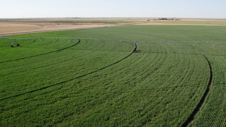 West Texas Multi-Parcel Auction - image 11