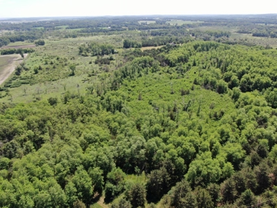 Marquette County WI 190 Acre Real Estate Auction with Home - image 30