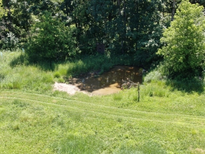 Marquette County WI 190 Acre Real Estate Auction with Home - image 34