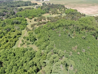 Marquette County WI 190 Acre Real Estate Auction with Home - image 29