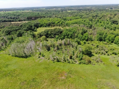 Marquette County WI 190 Acre Real Estate Auction with Home - image 37