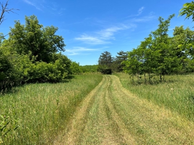 Marquette County WI 190 Acre Real Estate Auction with Home - image 45