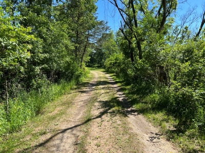 Marquette County WI 190 Acre Real Estate Auction with Home - image 49