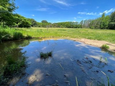 Marquette County WI 190 Acre Real Estate Auction with Home - image 44