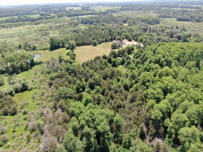 Marquette County WI 190 Acre Real Estate Auction with Home - image 31