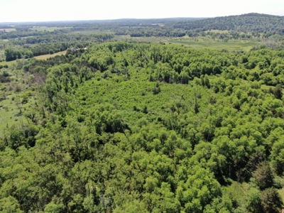 Marquette County WI 190 Acre Real Estate Auction with Home - image 28