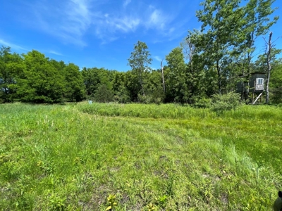 Marquette County WI 190 Acre Real Estate Auction with Home - image 46