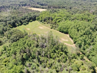 Marquette County WI 190 Acre Real Estate Auction with Home - image 35