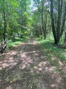 Log Home, Barn & 18 Acres, Plus additional 21 Acres For Sale - image 28