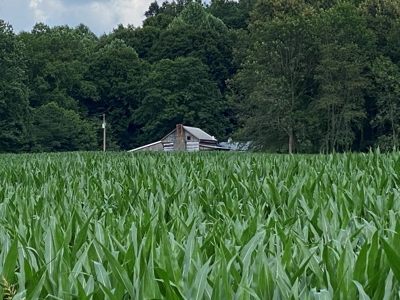 Log Home, Barn & 18 Acres, Plus additional 21 Acres For Sale - image 4