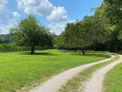 Log Home, Barn & 18 Acres, Plus additional 21 Acres For Sale - image 5