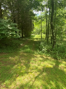 Log Home, Barn & 18 Acres, Plus additional 21 Acres For Sale - image 27