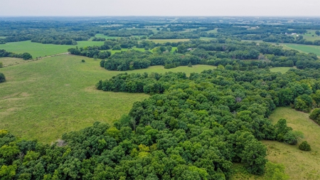 110.52  gorgeous surveyed acres in Rocheport, Missouri - image 19