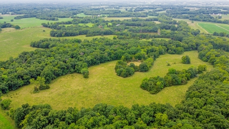 110.52  gorgeous surveyed acres in Rocheport, Missouri - image 18