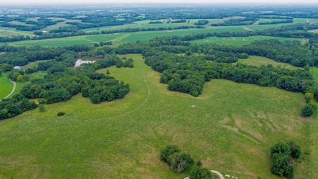 110.52  gorgeous surveyed acres in Rocheport, Missouri - image 25
