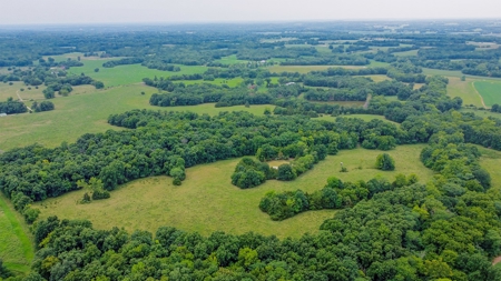 110.52  gorgeous surveyed acres in Rocheport, Missouri - image 17