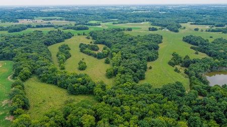 110.52  gorgeous surveyed acres in Rocheport, Missouri - image 13