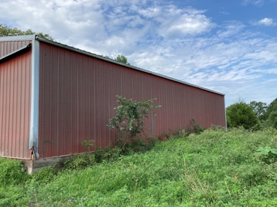 110.52  gorgeous surveyed acres in Rocheport, Missouri - image 3