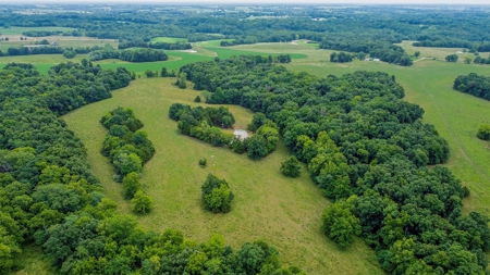 110.52  gorgeous surveyed acres in Rocheport, Missouri - image 14