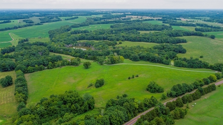 110.52  gorgeous surveyed acres in Rocheport, Missouri - image 10