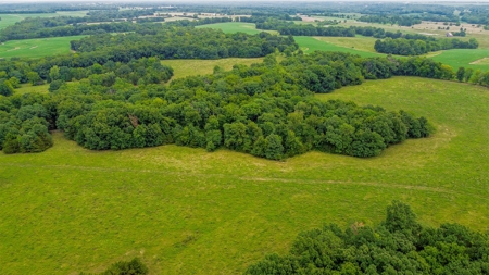 110.52  gorgeous surveyed acres in Rocheport, Missouri - image 24