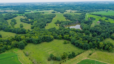 110.52  gorgeous surveyed acres in Rocheport, Missouri - image 12