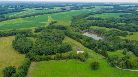 110.52  gorgeous surveyed acres in Rocheport, Missouri - image 11