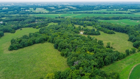 110.52  gorgeous surveyed acres in Rocheport, Missouri - image 21