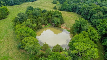 110.52  gorgeous surveyed acres in Rocheport, Missouri - image 16