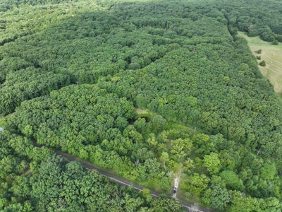 16 acres m/l Near Hallsville, Missouri in Boone County - image 7