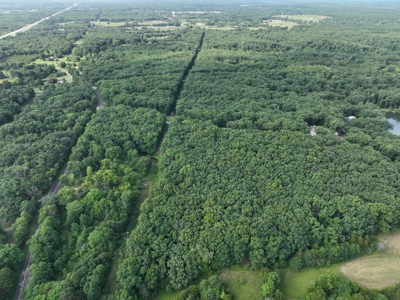 16 acres m/l Near Hallsville, Missouri in Boone County - image 9