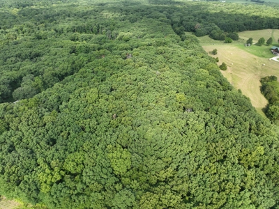 16 acres m/l Near Hallsville, Missouri in Boone County - image 4