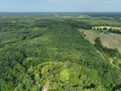 16 acres m/l Near Hallsville, Missouri in Boone County - image 6