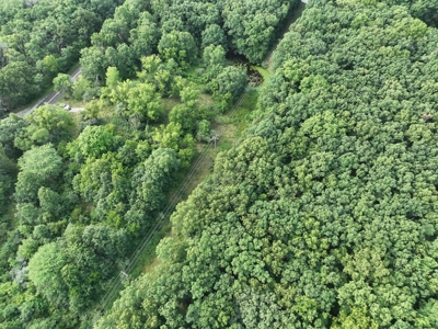 16 acres m/l Near Hallsville, Missouri in Boone County - image 3