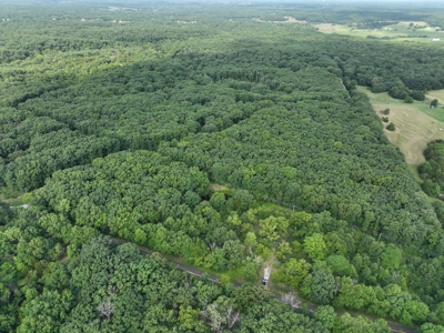 16 acres m/l Near Hallsville, Missouri in Boone County - image 8