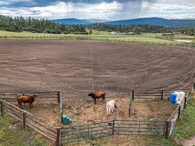 Premier Ranch Property For Auction in Southwestern Colorado - image 30