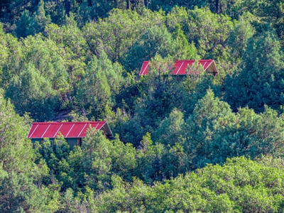 Premier Ranch Property For Auction in Southwestern Colorado - image 14