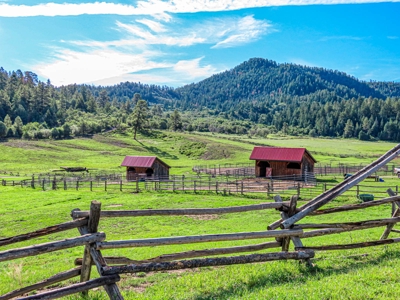 Premier Ranch Property For Auction in Southwestern Colorado - image 9