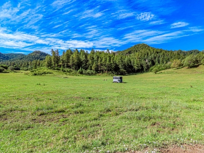 Premier Ranch Property For Auction in Southwestern Colorado - image 6