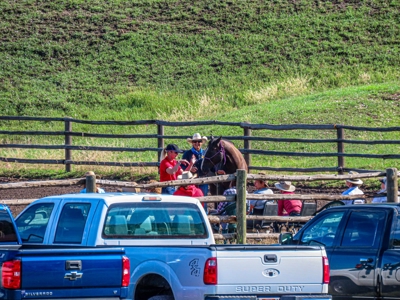 Premier Ranch Property For Auction in Southwestern Colorado - image 8