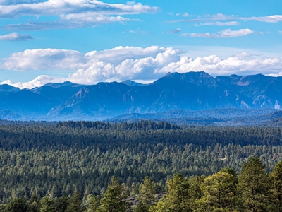 Premier Ranch Property For Auction in Southwestern Colorado - image 24