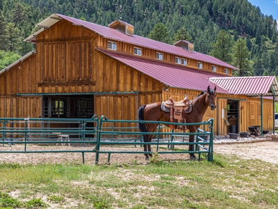 Premier Ranch Property For Auction in Southwestern Colorado - image 1