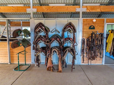 Premier Ranch Property For Auction in Southwestern Colorado - image 16
