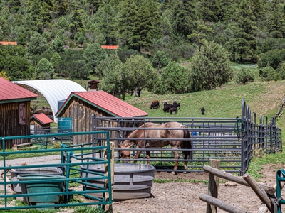Premier Ranch Property For Auction in Southwestern Colorado - image 37