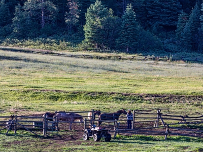 Premier Ranch Property For Auction in Southwestern Colorado - image 5