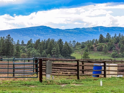 Premier Ranch Property For Auction in Southwestern Colorado - image 46