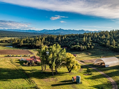 Premier Ranch Property For Auction in Southwestern Colorado - image 3