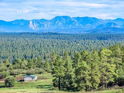 Premier Ranch Property For Auction in Southwestern Colorado - image 12