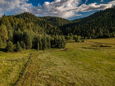 Premier Ranch Property For Auction in Southwestern Colorado - image 19